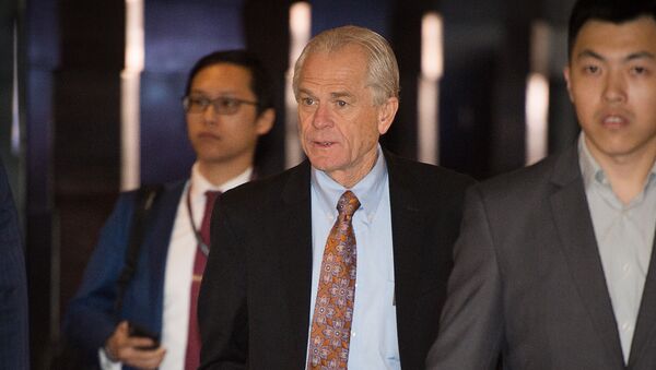 Director of Trade and Industrial Policy, and the Director of the White House National Trade Council Peter Navarro - 俄羅斯衛星通訊社
