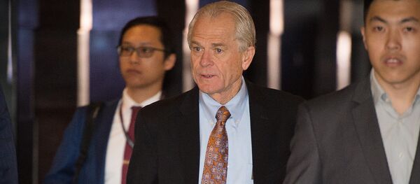 Director of Trade and Industrial Policy, and the Director of the White House National Trade Council Peter Navarro - 俄罗斯卫星通讯社