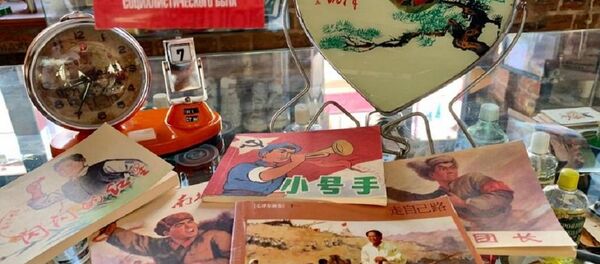 中國宣傳海報展在喀山開幕 - 俄羅斯衛星通訊社