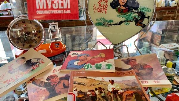 中国宣传海报展在喀山开幕 - 俄罗斯卫星通讯社