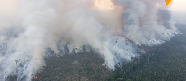 亚马逊大火仍在蔓延 - 俄罗斯卫星通讯社