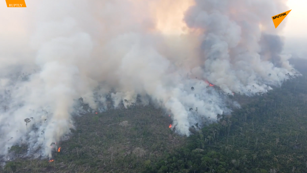 亚马逊大火仍在蔓延 - 俄罗斯卫星通讯社