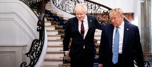 Дональд Трамп и Борис Джонсон на саммите G7 в Биаррице Дональд Трамп и Борис Джонсон на саммите G7 в Биаррице - 俄羅斯衛星通訊社