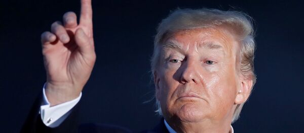 特朗普 - 俄罗斯卫星通讯社