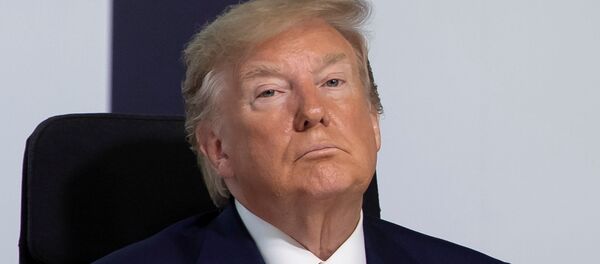 特朗普許諾將邀請普京參加下一屆G7峰會 - 俄羅斯衛星通訊社