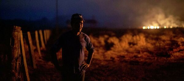 G7集团将拨出2千万欧元用于帮助扑灭亚马逊森林大火 - 俄罗斯卫星通讯社