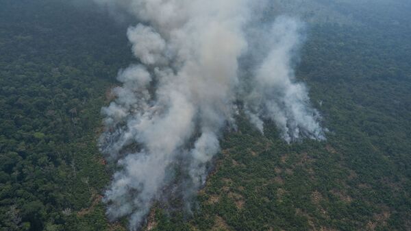 Пожары в бразильской Амазонии - 俄罗斯卫星通讯社