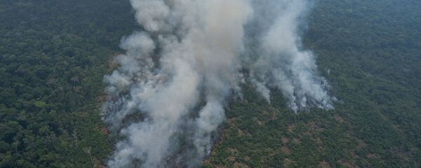 Пожары в бразильской Амазонии Пожары в бразильской Амазонии - 俄羅斯衛星通訊社