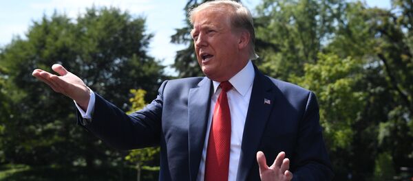 美国总统特朗普 - 俄罗斯卫星通讯社