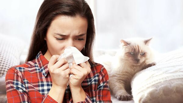 Девушка с аллергией на кошек - 俄羅斯衛星通訊社