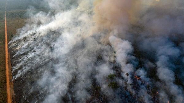 Густой дым и огонь над лесом Амазонии - 俄羅斯衛星通訊社