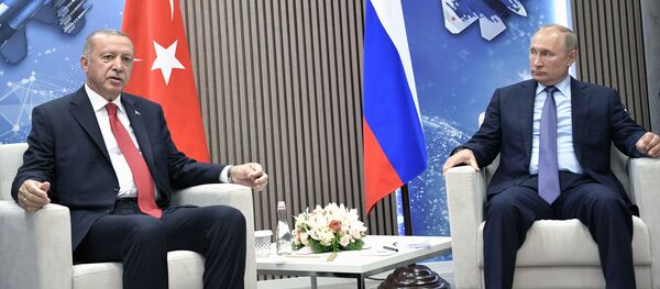 埃爾多安：第二批S-400供貨將持續到9月底 - 俄羅斯衛星通訊社