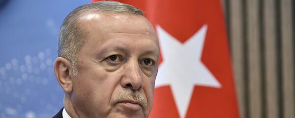 土耳其或于两周后在叙东北部展开行动 - 俄罗斯卫星通讯社