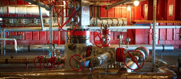 俄副總理：俄各專業部門在政府會議上支持向私企開放俄羅斯北極大陸架 - 俄羅斯衛星通訊社