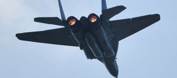 Самолет МиГ-29 на репетиции авиашоу, которое пройдет в рамках МАКС-2019 - 俄罗斯卫星通讯社