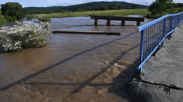 俄濱海邊疆區大部分被淹地區的積水已退去 - 俄羅斯衛星通訊社