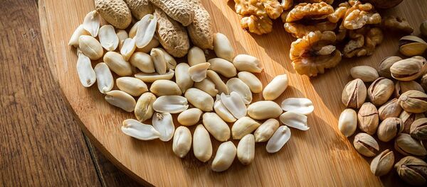 暴食坚果有何危险？ - 俄罗斯卫星通讯社