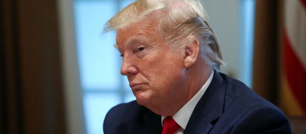 Американский президент Дональд Трамп - 俄罗斯卫星通讯社