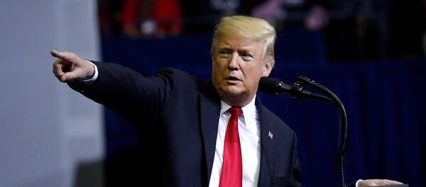 Американский президент Дональд Трамп - 俄罗斯卫星通讯社