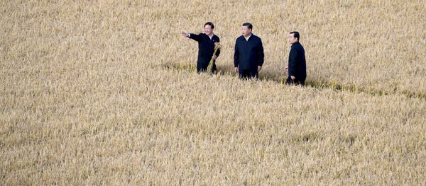 Китайский лидер Си Цзиньпин во время инспекционной поездки по региону Китайский лидер Си Цзиньпин во время инспекционной поездки по региону - 俄罗斯卫星通讯社