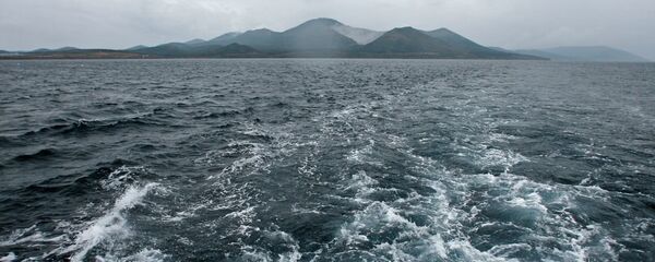 薩哈林島阿尼瓦灣 - 俄羅斯衛星通訊社