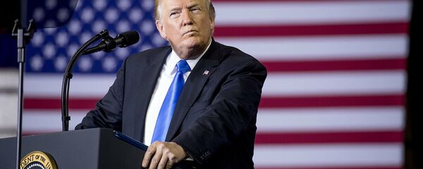 Президент США Дональд Трамп - 俄罗斯卫星通讯社