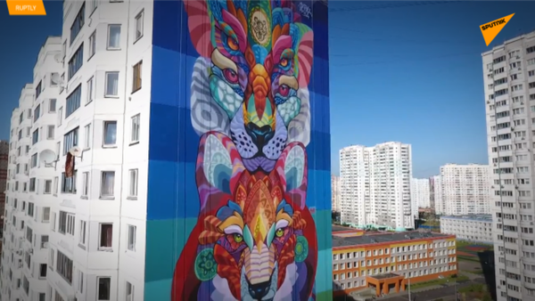 街頭藝術博物館：莫斯科郊區的塗鴉畫廊 - 俄羅斯衛星通訊社
