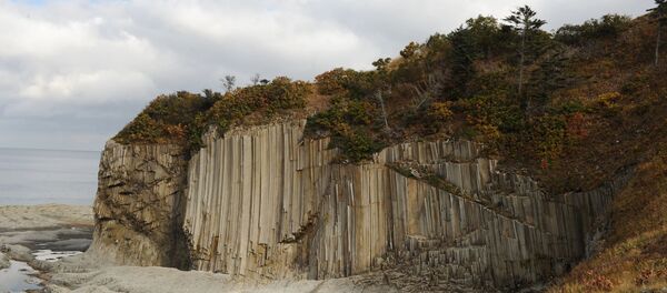 日本首相期望在會見普京期間把和平條約談判推進至更高水平 - 俄羅斯衛星通訊社