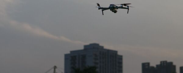 Дрон Дрон - 俄罗斯卫星通讯社