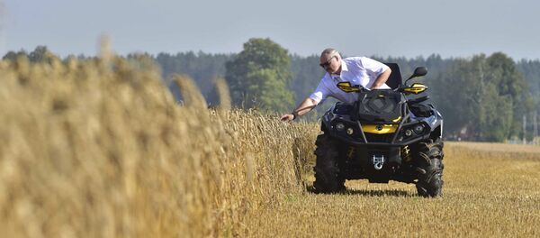 Президент Белоруссии на квадроцикле в поле - 俄罗斯卫星通讯社
