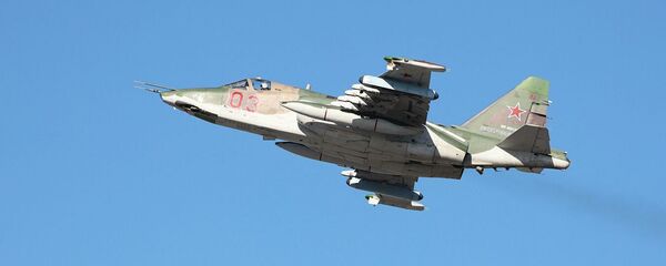 俄羅斯國防部介紹最近一周外國飛行器在俄邊境偵察情況 - 俄羅斯衛星通訊社