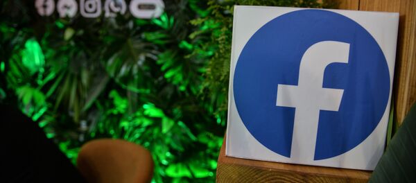 脸书 - 俄罗斯卫星通讯社