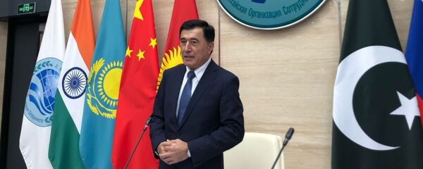 Владимир Норов - 俄罗斯卫星通讯社