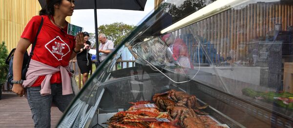 俄远东发展部长：俄远东联邦区2020年第一季度外贸额下降5.4% - 俄罗斯卫星通讯社