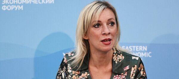 俄外交部：俄反對台灣地區加入國際民航組織 - 俄羅斯衛星通訊社