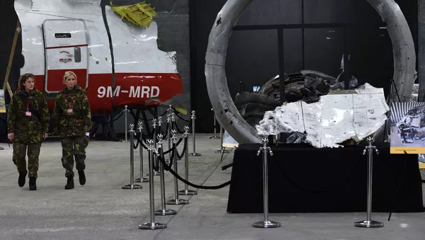 荷蘭法院為審理MH17失事案提前一年預定場地 - 俄羅斯衛星通訊社