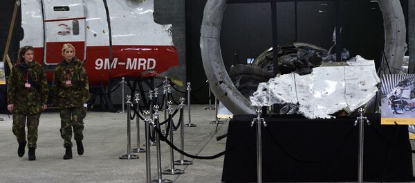 荷蘭法院為審理MH17失事案提前一年預定場地 - 俄羅斯衛星通訊社