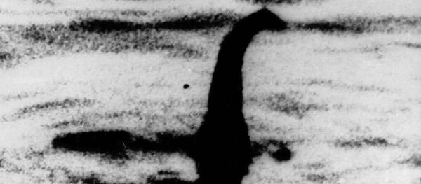 科学家们发现被误以为尼斯湖水怪的生物 - 俄罗斯卫星通讯社