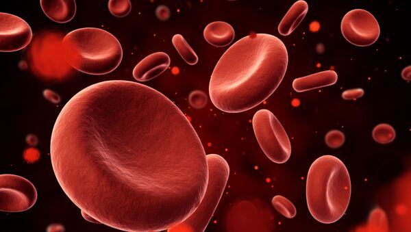 3D изображение эритроцитов крови - 俄罗斯卫星通讯社
