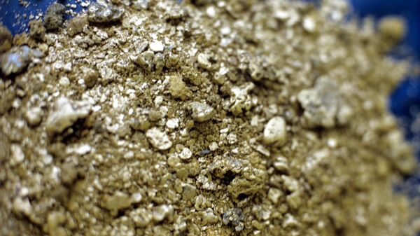 自然金 - 俄羅斯衛星通訊社