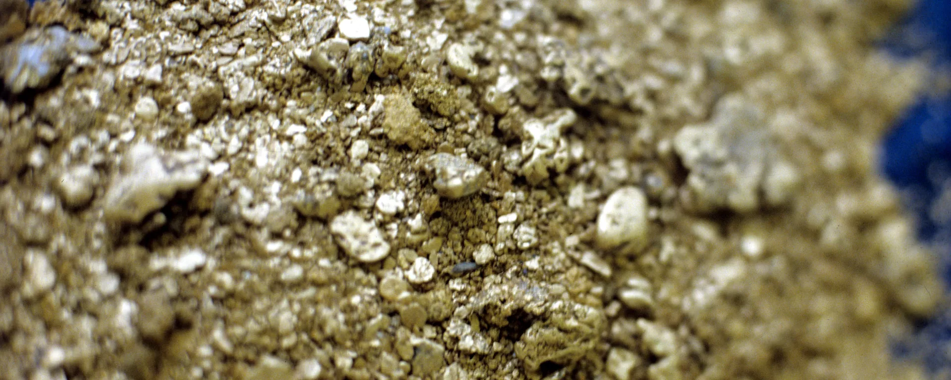 黃金 - 俄羅斯衛星通訊社, 1920, 28.01.2026