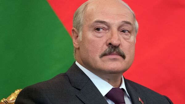 Александр Лукашенко - 俄罗斯卫星通讯社