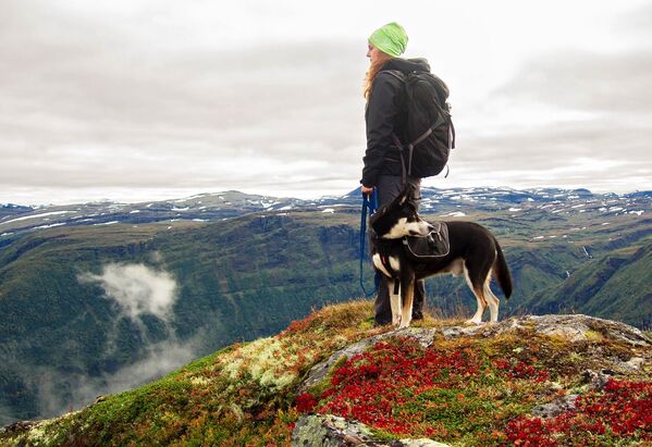 挪威山脈中帶著狗的遊客 - 俄羅斯衛星通訊社
