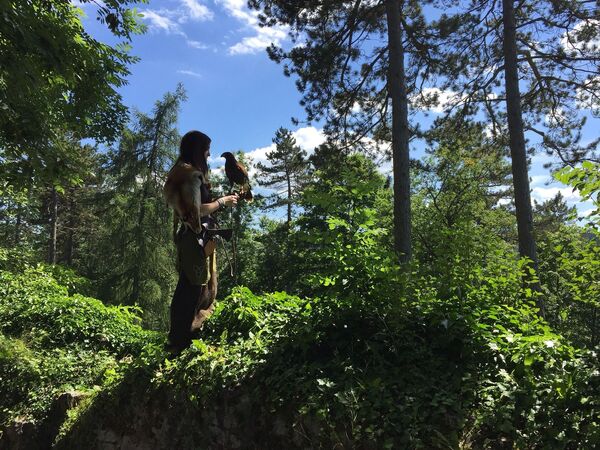 德國圖特林根森林中的持鷹女孩 - 俄羅斯衛星通訊社