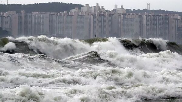 颱風“玲玲”襲擊朝鮮 - 俄羅斯衛星通訊社