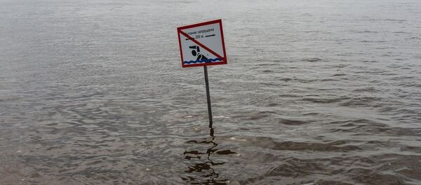 阿穆爾河 - 俄羅斯衛星通訊社