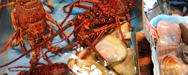 大螯虾 - 俄罗斯卫星通讯社