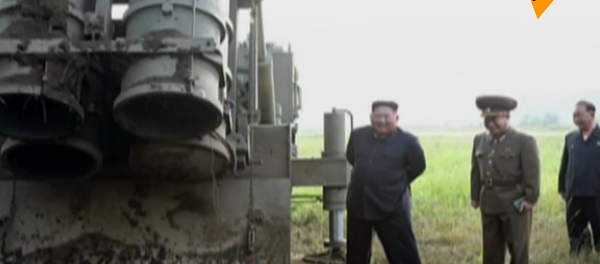 金正恩亲临超大型齐射火箭炮试射现场 - 俄罗斯卫星通讯社