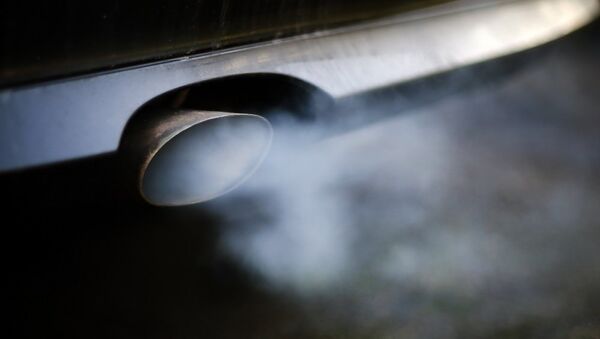 绿色和平组织公布大气污染物排放量最高的车企排名 - 俄罗斯卫星通讯社
