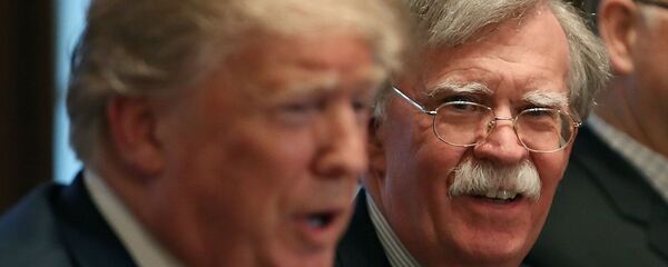 前任联合国副秘书长:博尔顿离职不出所料 特朗普忍无可忍 前任联合国副秘书长:博尔顿离职不出所料 特朗普忍无可忍 - 俄罗斯卫星通讯社